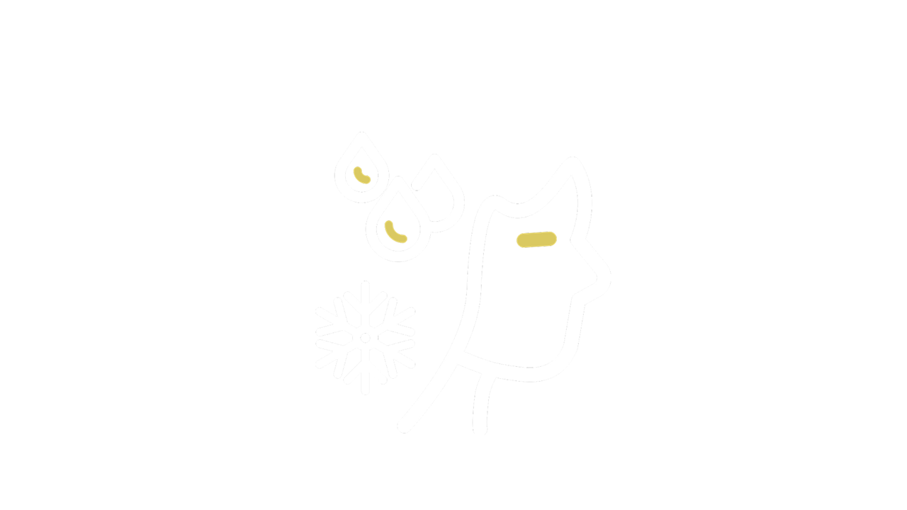 Sweating-and-chills-icon